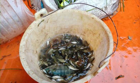 a42cade0d82ed3a47f611cbdb78aab2f_