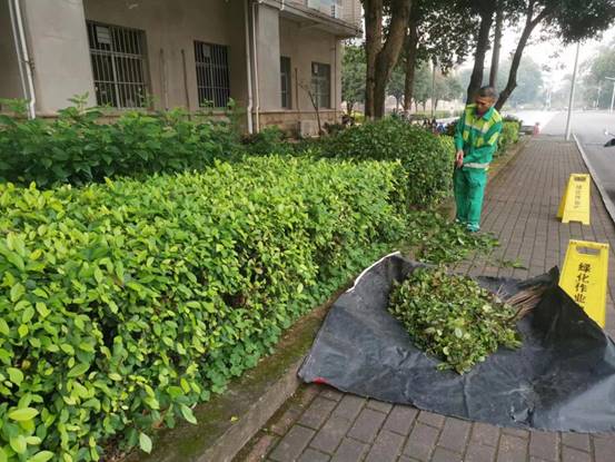 5f75c094ac777e679f496d95243612b