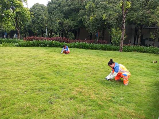 38e18294c078af5a10d042be26d874de_