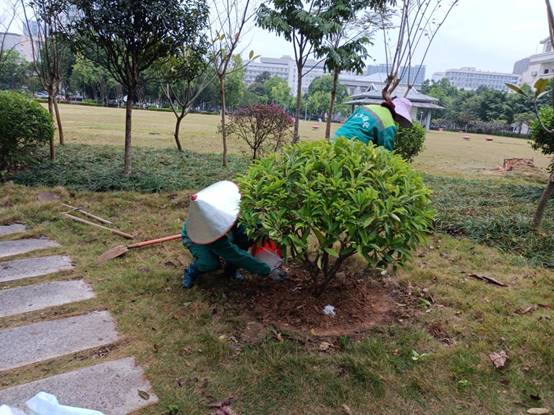 5337b0d4b6b1d9c89ead4e420c252ee