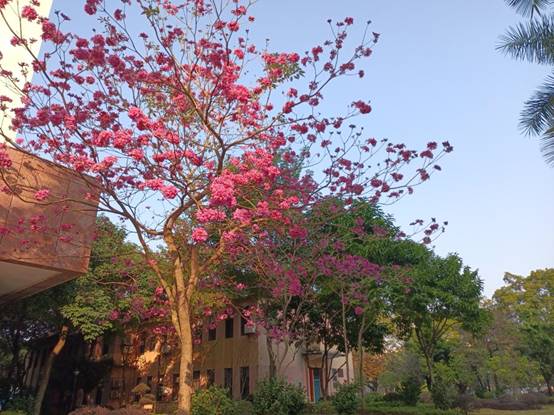 b53e3fae3eb5705ea1daa8aa1a9b577