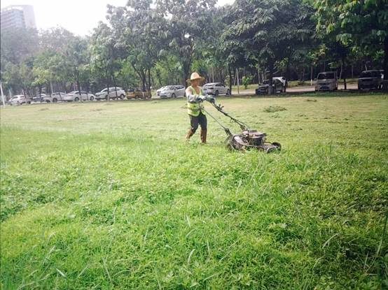 310dd0b15f0f9dc7497440329668f24