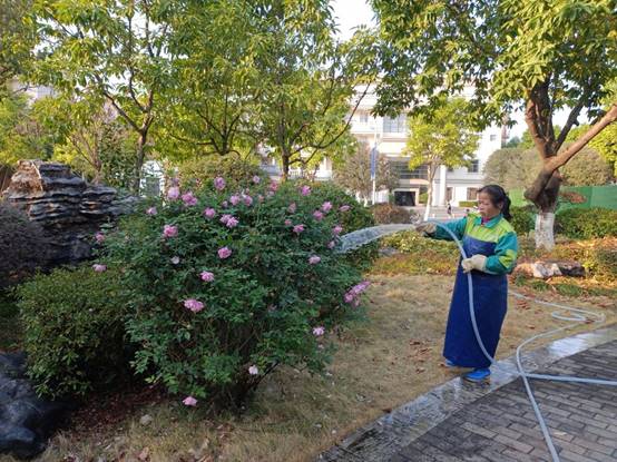 0694606fb8be02d2674ffff134530ba