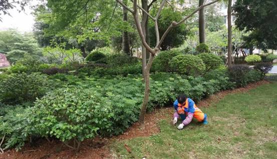 cef01f25e65aa15fc8210b6bc7742615_