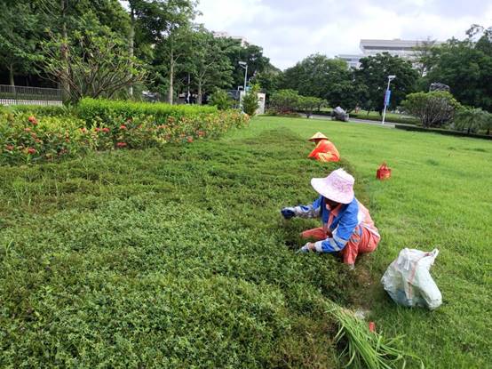 484a4d0e82fcb3c5a3417cbb73b008d