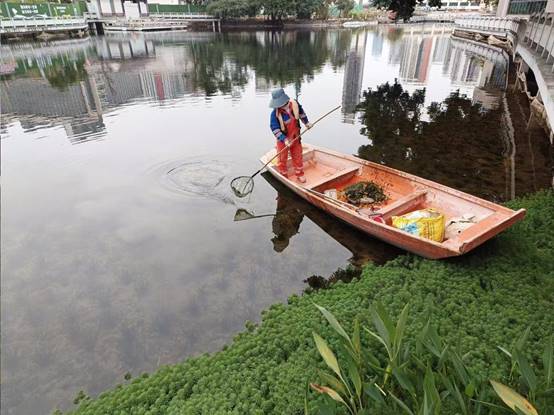 2c6b487366047f394fb77c118a0966d