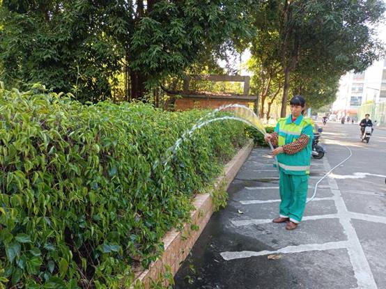 19d462efad0a96247d9193286df56ff