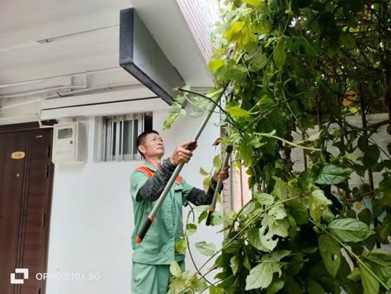 说明: 13337080893139054