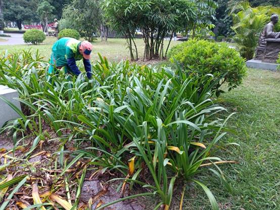 18154b09dab04bc1ae3e852f3fdeffa