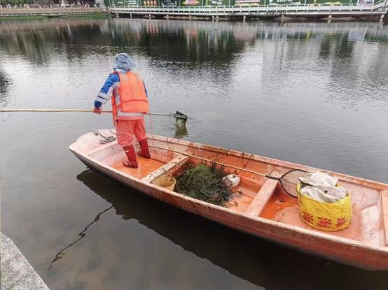 768aba117fc6474e12a452deff766aa