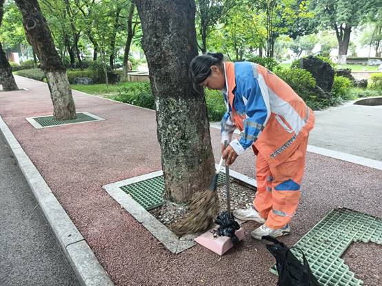 dd3276f0895216f9b2c86e8312701c6