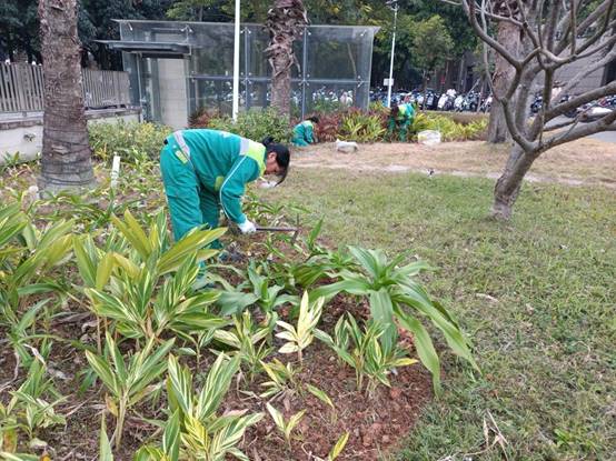 e55a2492b4dfa46115320b15f66636b