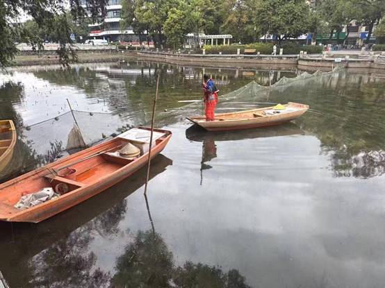 d7ea47b0cae827018ff2a83ed5d839d