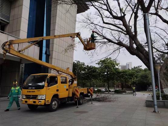 891d7323d8ee6c1c35d50aaa1556290