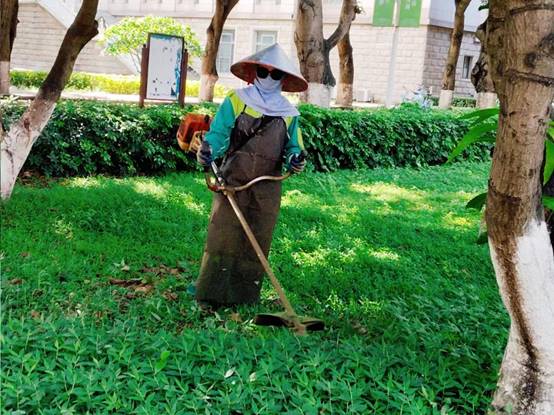 98c2f0c35e2d6c19751724e1ada2646