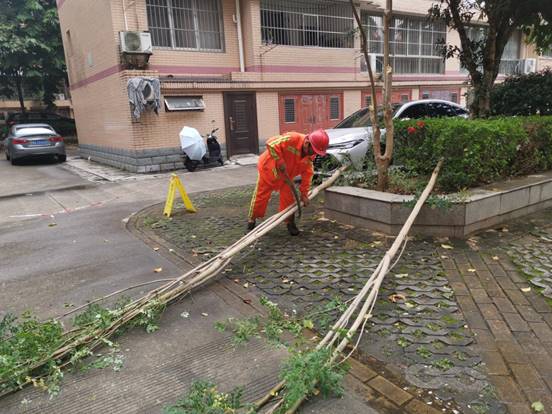 e956240de47d8803986a1d4d792e1da