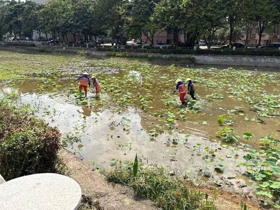 78d0b206ad90378cc12ff173e2aea52