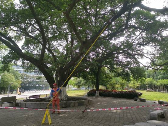 242baa0d6895ad8d76e03a8e0e073bb