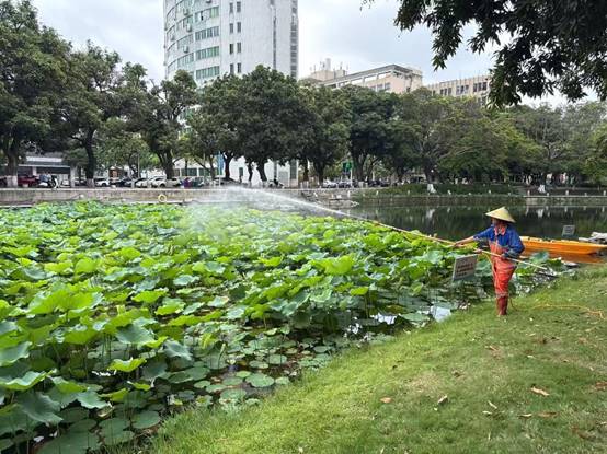 ebcce4fb413341721901d81df68a3de