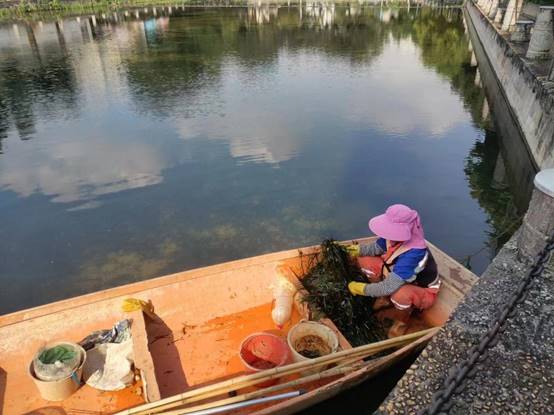 fb51d2a9636d5a33c04447b6bd40d25