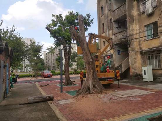 b432540ba32106d411b8c44cf6338bb