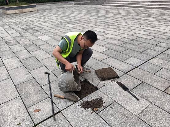 a1c67781a14da0296051c6d2cd1db33