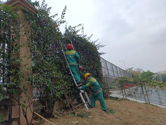 3257080df84771728643d6ce1876d18