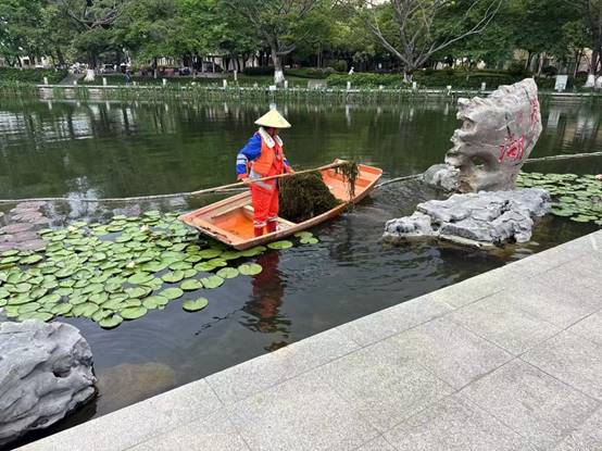 c236212d6462501fe666f1a0f6a86d4