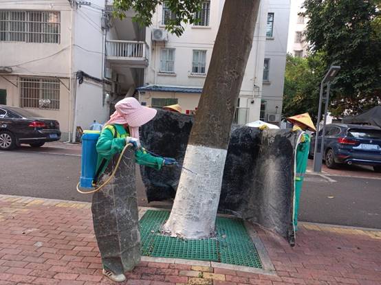 1817d8453aada4aba2a7db15dadd33d