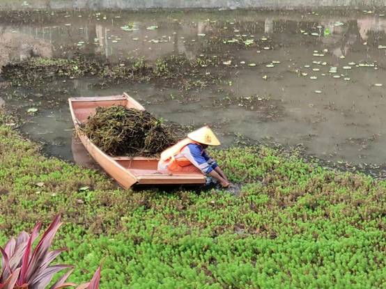 d2ce1a82e5cf34f23a540b6f22f2c6a