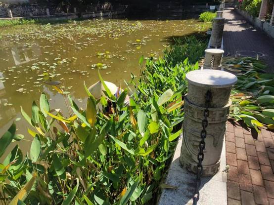 98f75298fb294ebe8154cfaf3208412