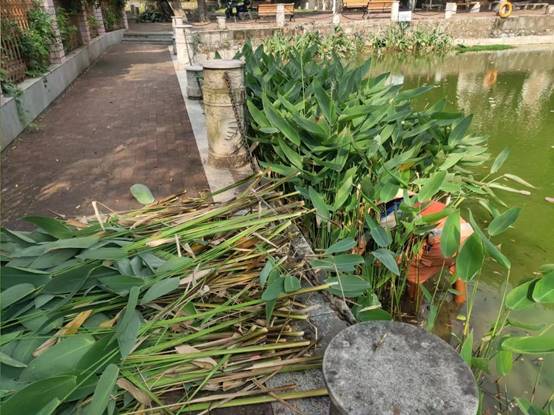 14c58229fe465cacacdb4276904876f