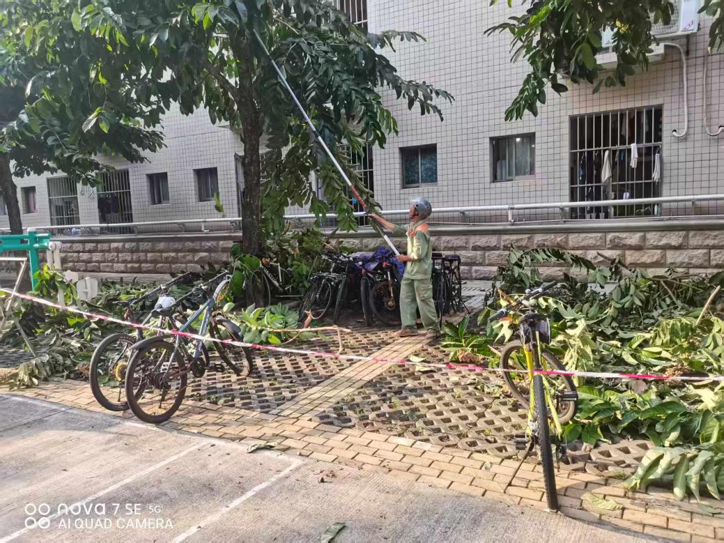 4748dd4ae15d363a85f2afe7347c6379