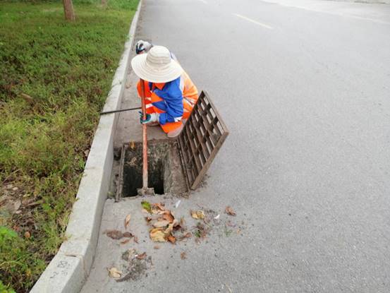 d8ced587f3ba5207f237089f901876a