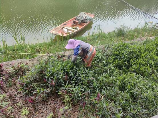 a2403c95dbdd01d60deb2fd14e7e186