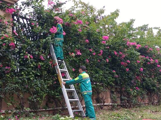 0644b0e2f543b021fbf8d12cab3dc86