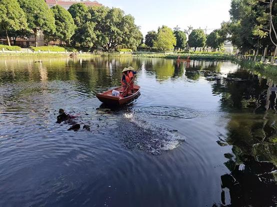 eee9f106475776fd9215decd4b255e0