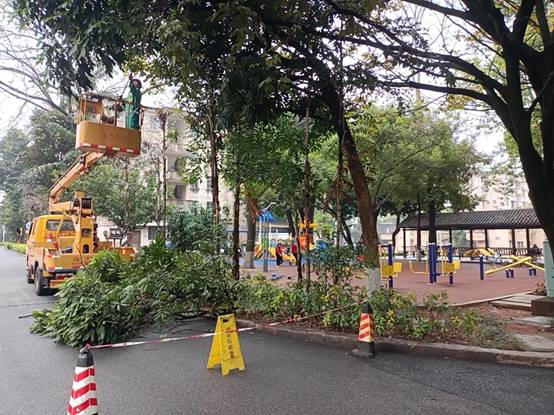 b774e5507d44cad069b25e87a450abd