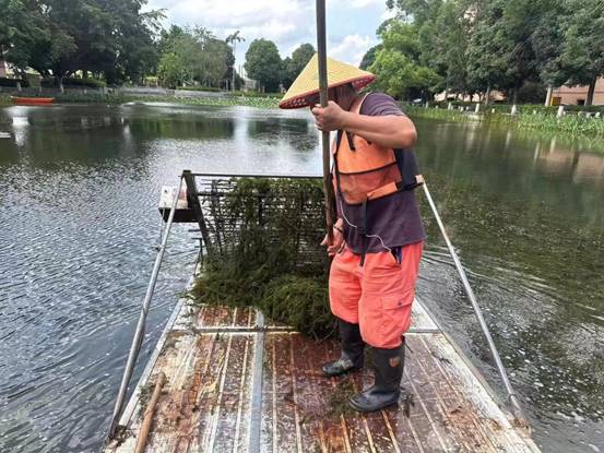 99c6de42357233ea5571348516d621a