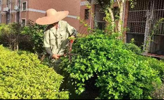 说明: 0dee83f7c5f244ed536cb1e9156987b