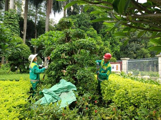 c2540cebd20716316d786f4c89599d8