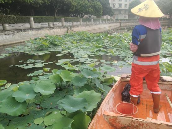 984704ba042221bbc7148e03e695e52