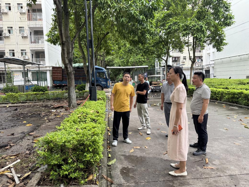 68e6edcad68a54ff6b12de56a3f03b4