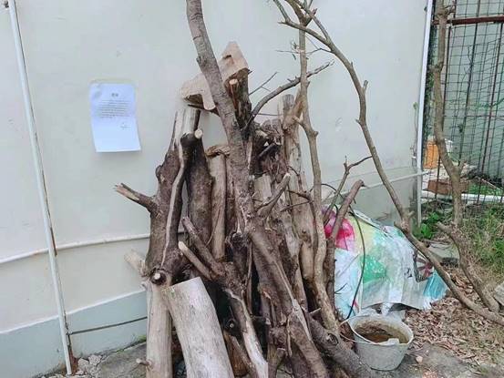 4ce5342a6658da20a7beda575897c98