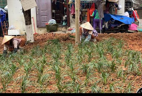 说明: 60595ad3dd8798db801891c3470a4fc