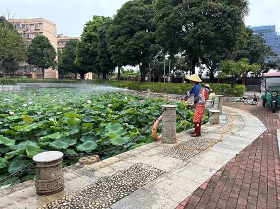 8ea4ced25ea720a9dad2e1fb2ea47fe