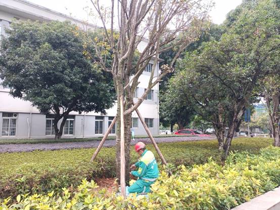 5be8c03432bb6b2accde2473c3ee6a2