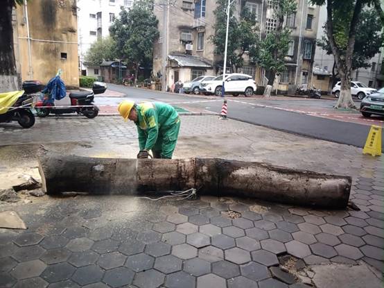 95c809cd67dd178e96b993ef0957909