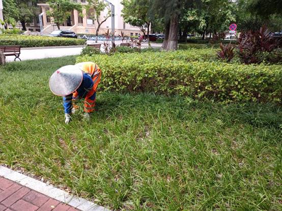 e3f82a36670e73fd83754c639c741d0