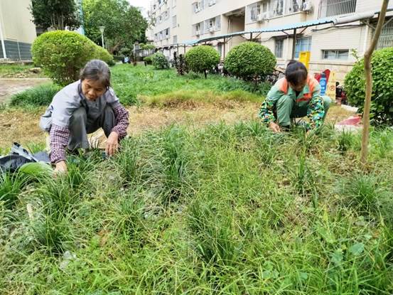 说明: 6561ca08476d974f05f481083cee89b